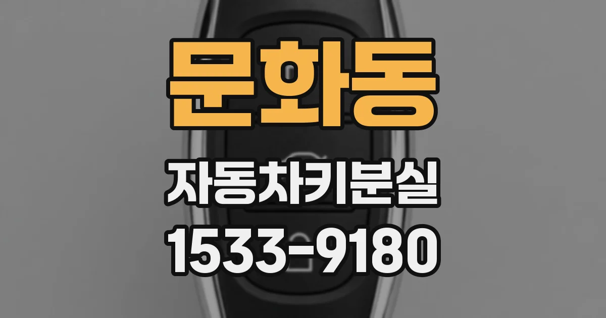문화동 자동차키분실