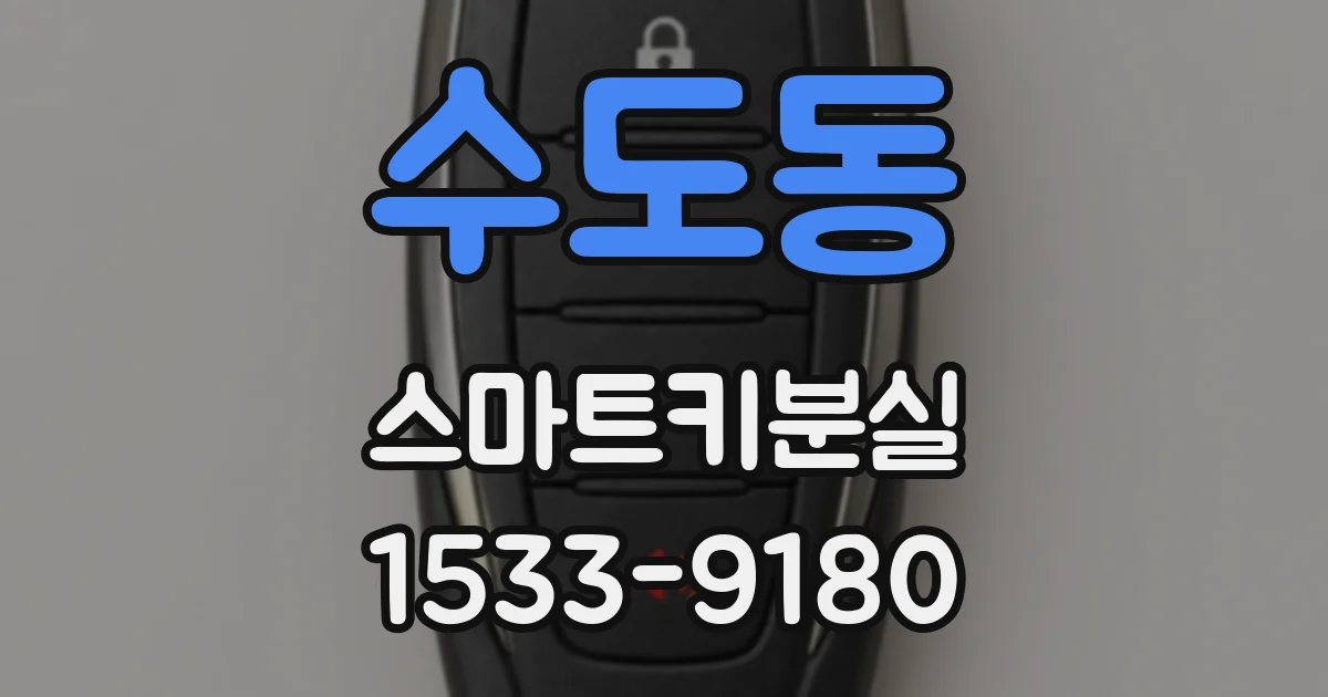 수도동 스마트키분실