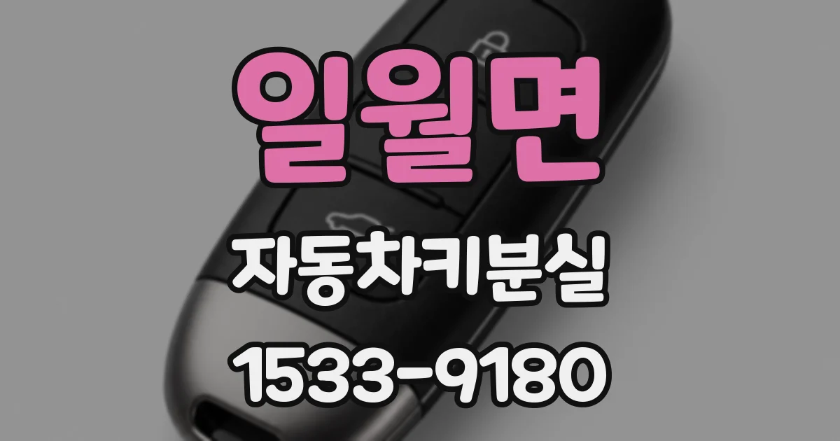 일월면 자동차키분실