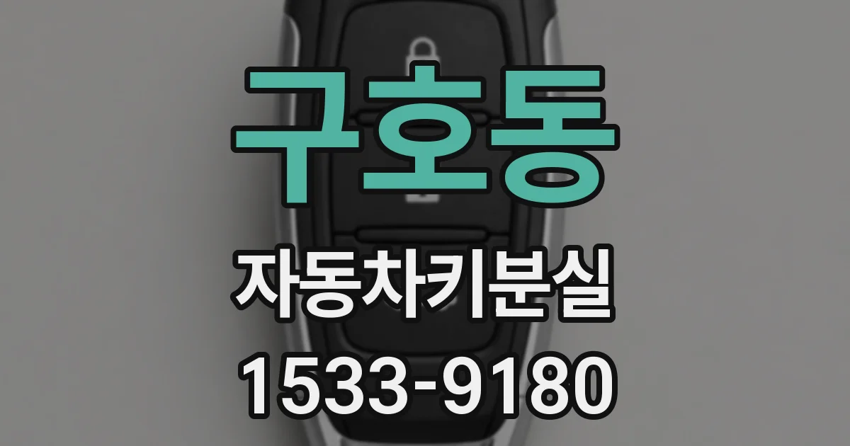 구호동 자동차키분실