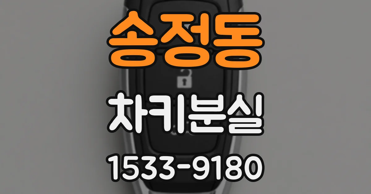 송정동 차키분실
