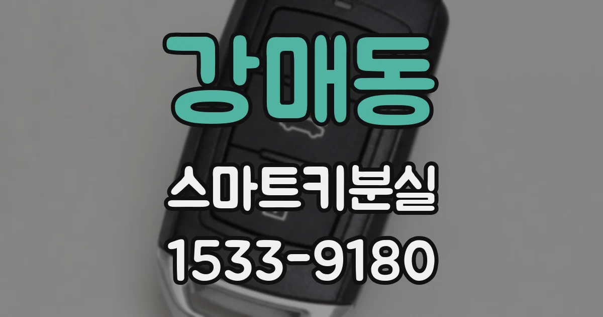 강매동 스마트키분실