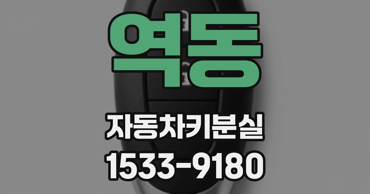 역동 자동차키분실