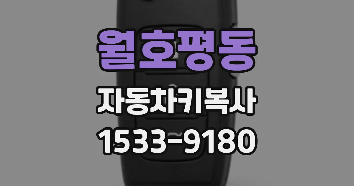 월호평동 자동차키복사