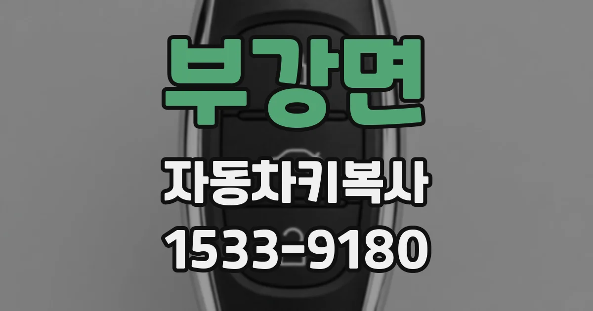 부강면 자동차키복사