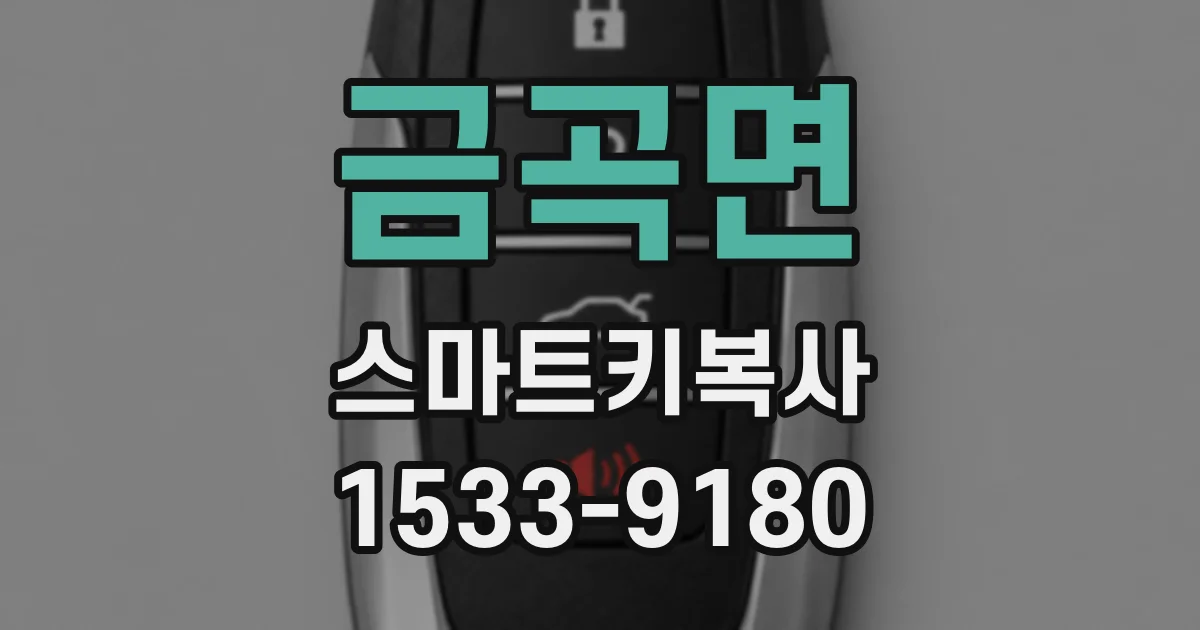 금곡면 스마트키복사