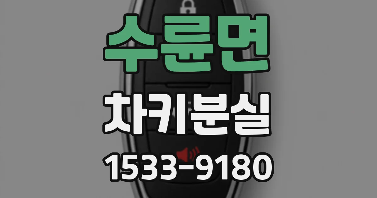 수륜면 차키분실