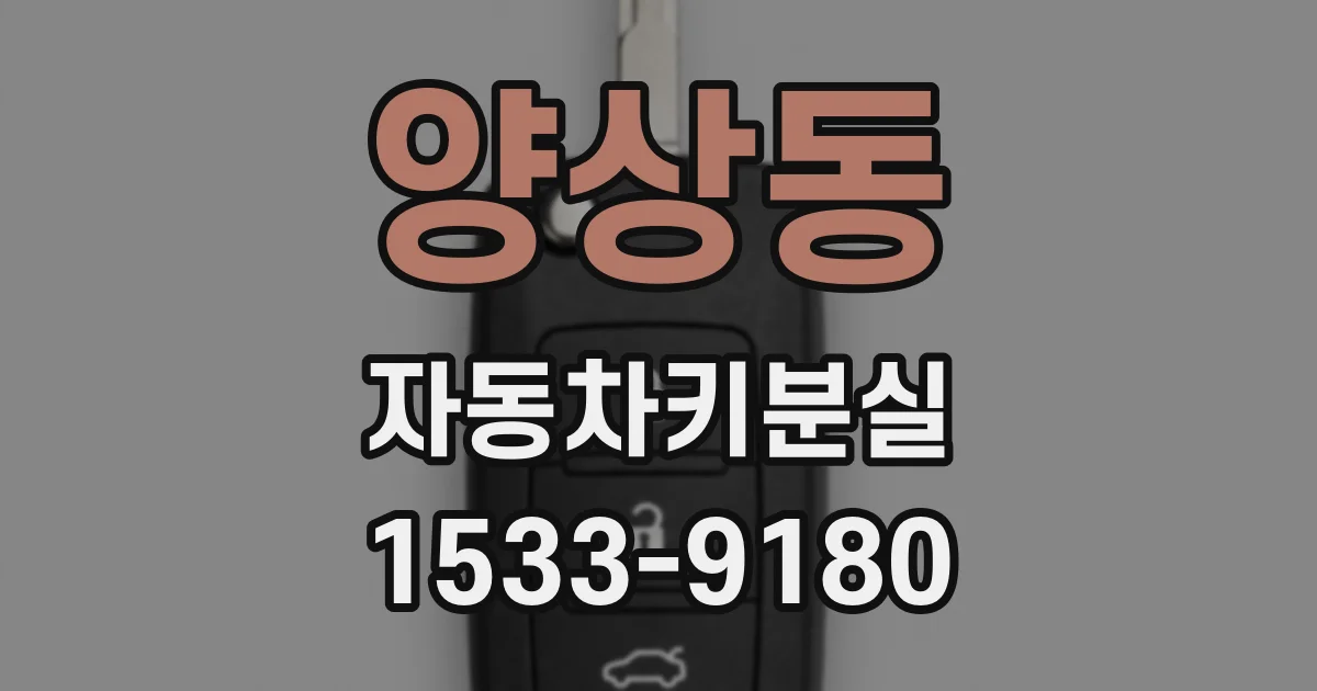 양상동 자동차키분실