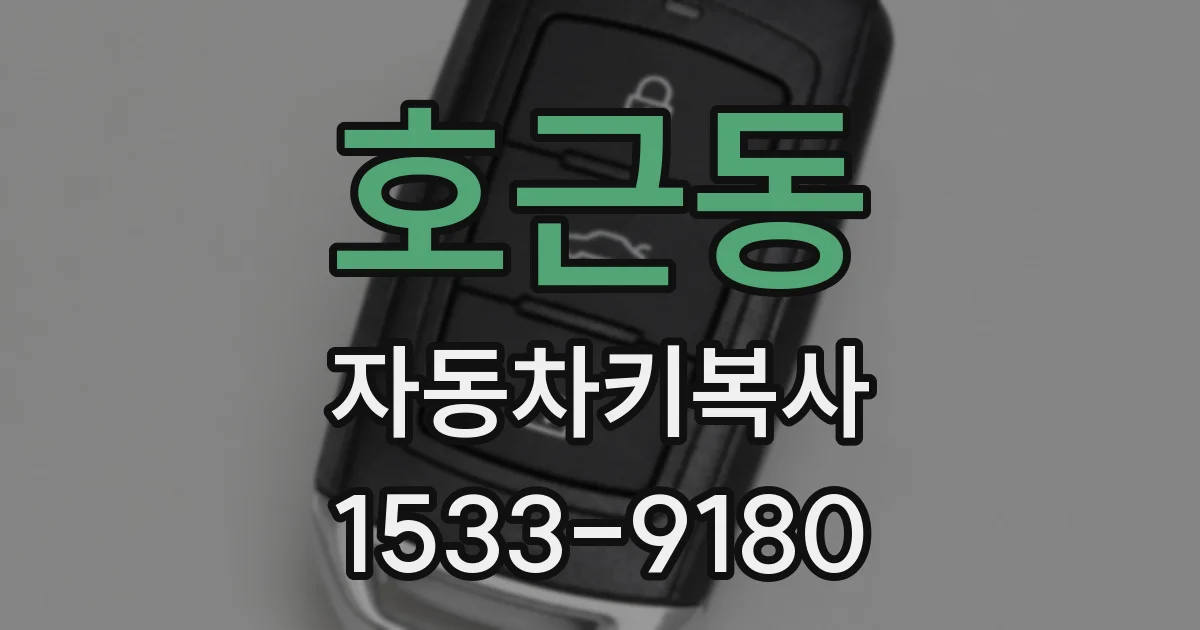 호근동 자동차키복사