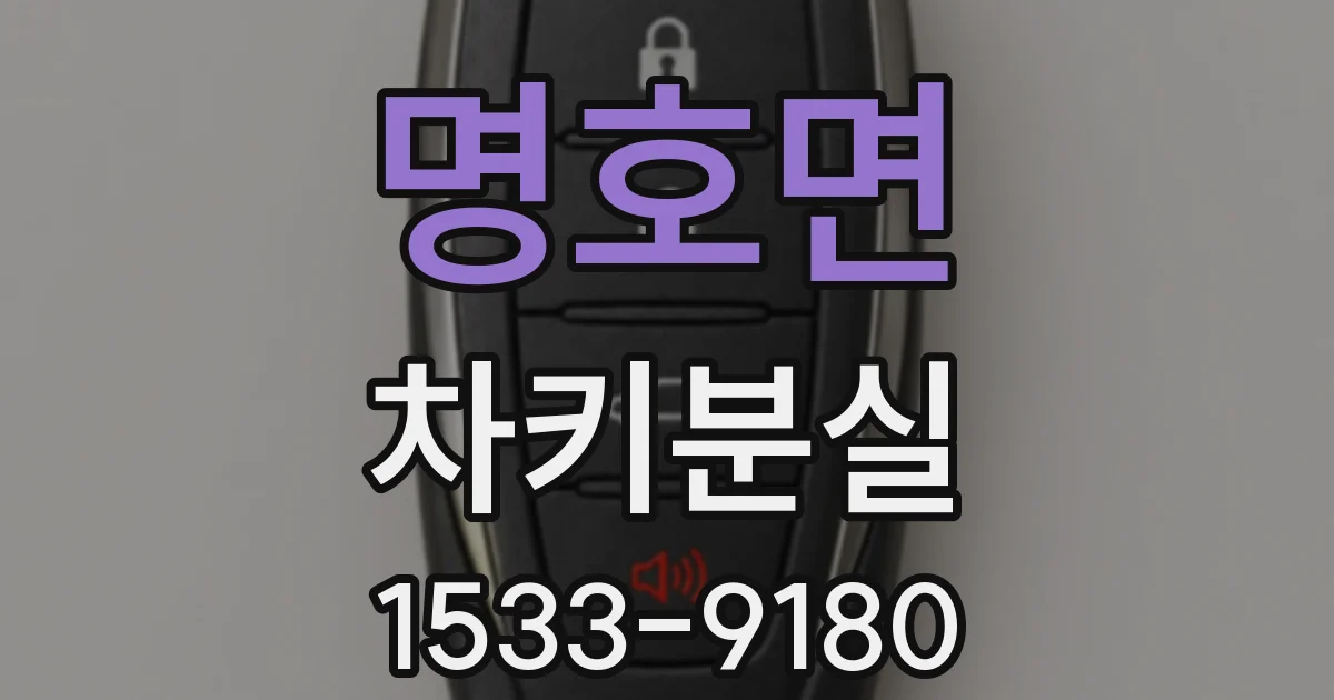명호면 차키분실