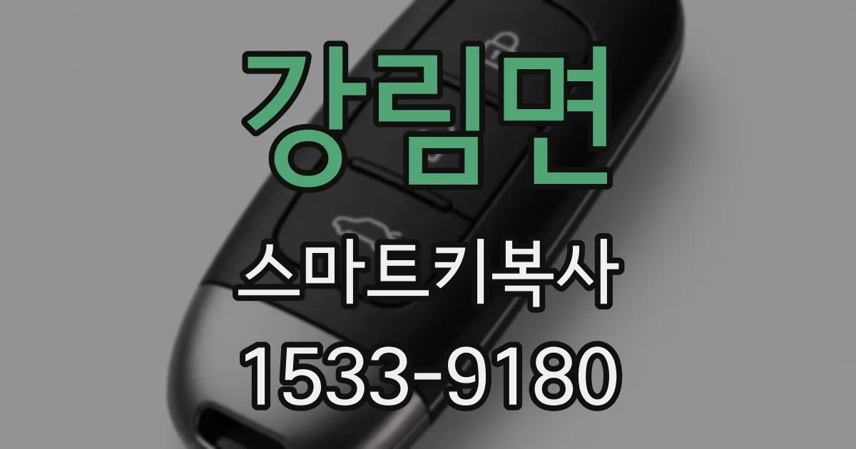 강림면 스마트키복사