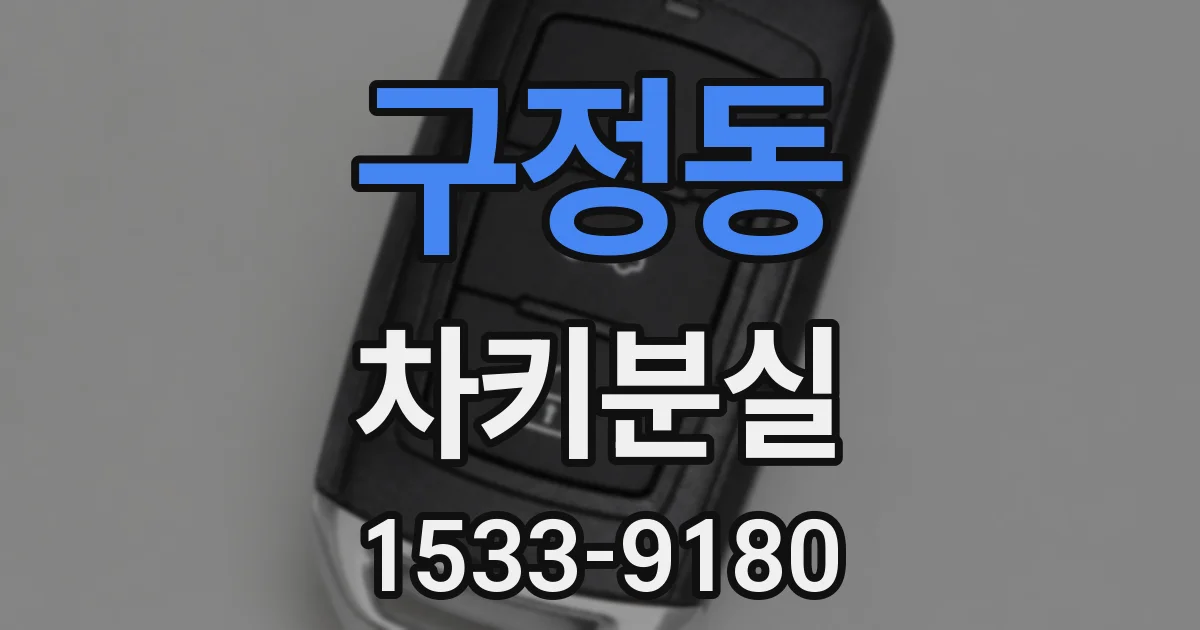 구정동 차키분실