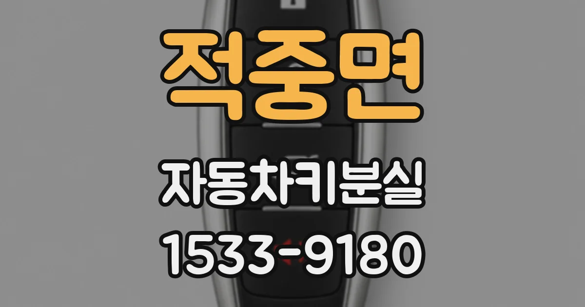 적중면 자동차키분실