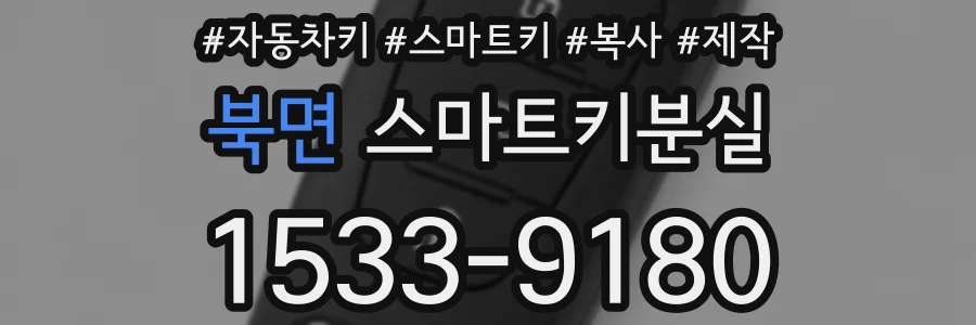 북면 스마트키분실
