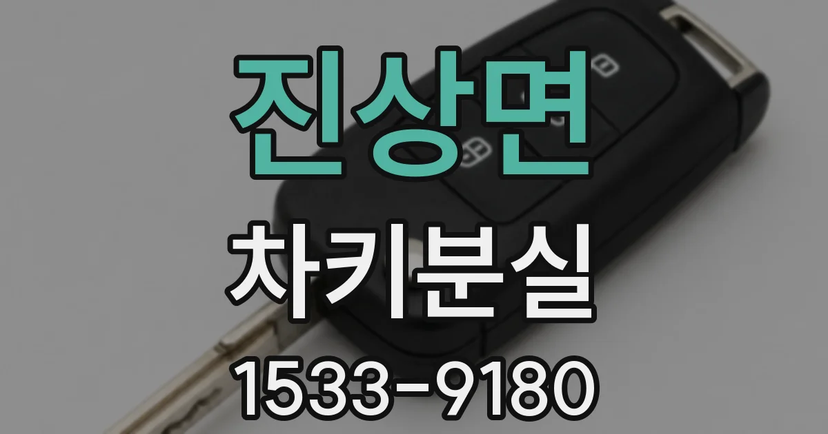 진상면 차키분실