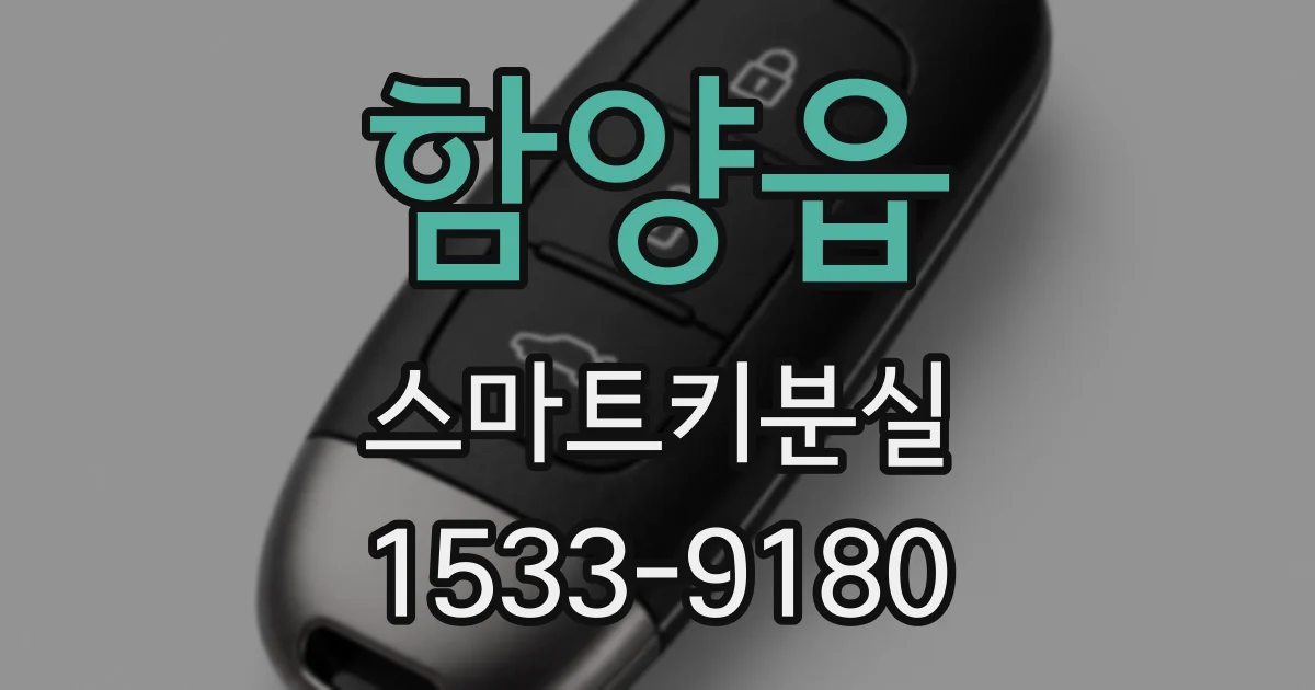 함양읍 스마트키분실