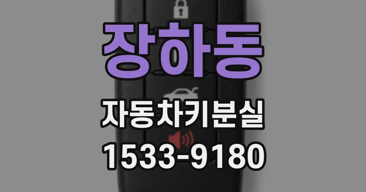 장하동 자동차키분실