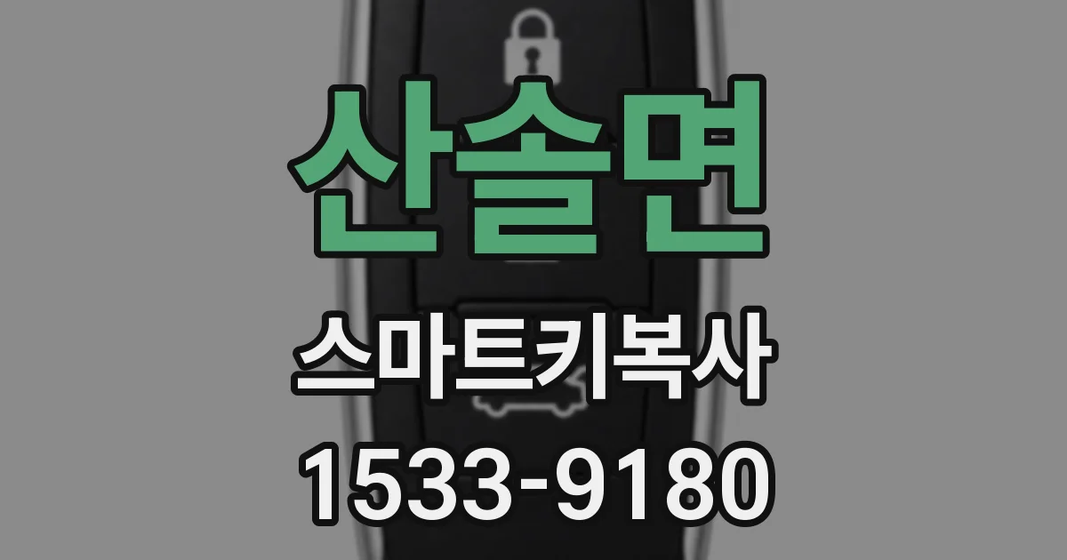 산솔면 스마트키복사