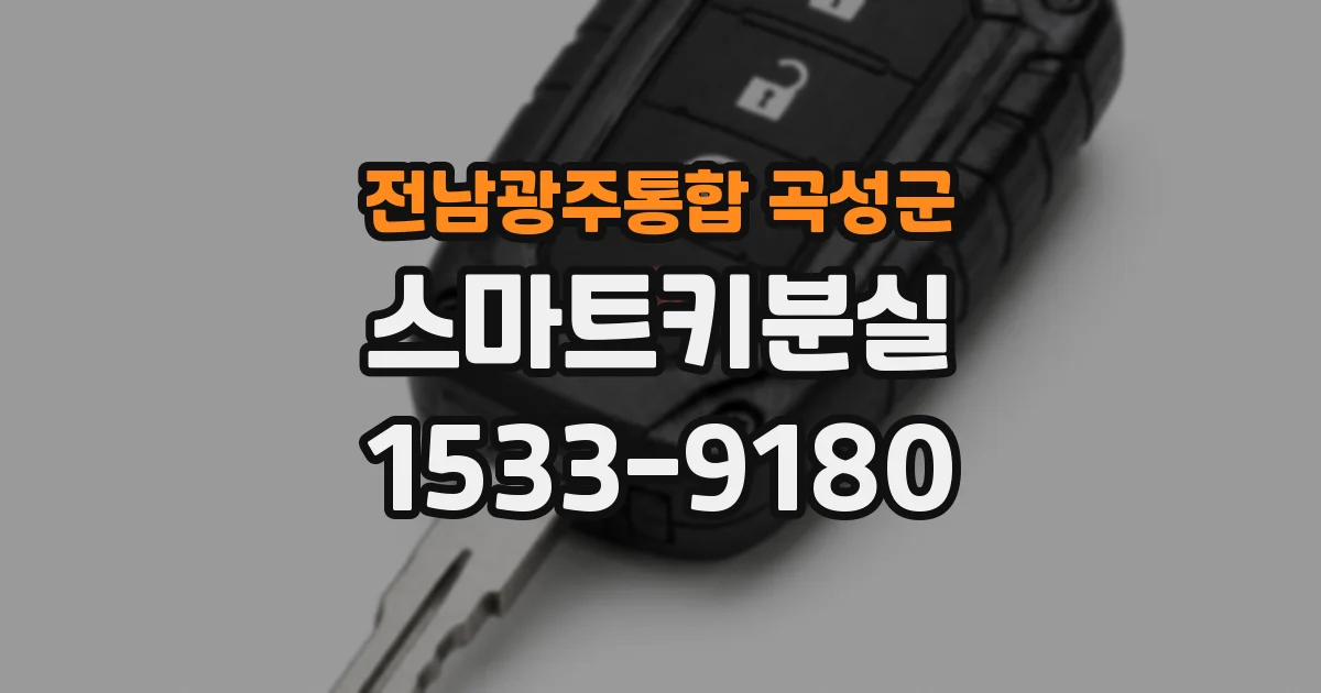 전남광주통합 곡성군 스마트키분실