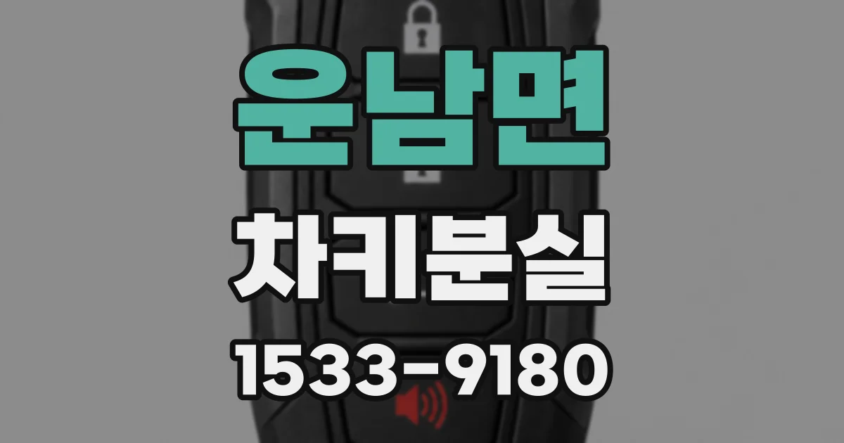 운남면 차키분실