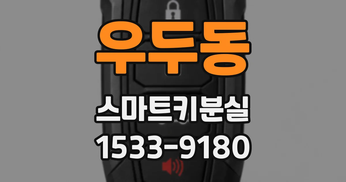 우두동 스마트키분실