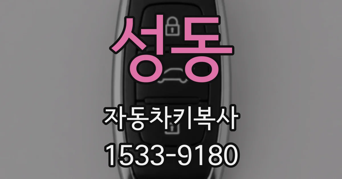 성동 자동차키복사