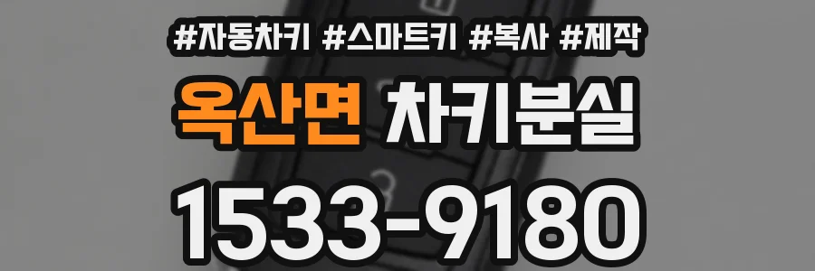 옥산면 차키분실