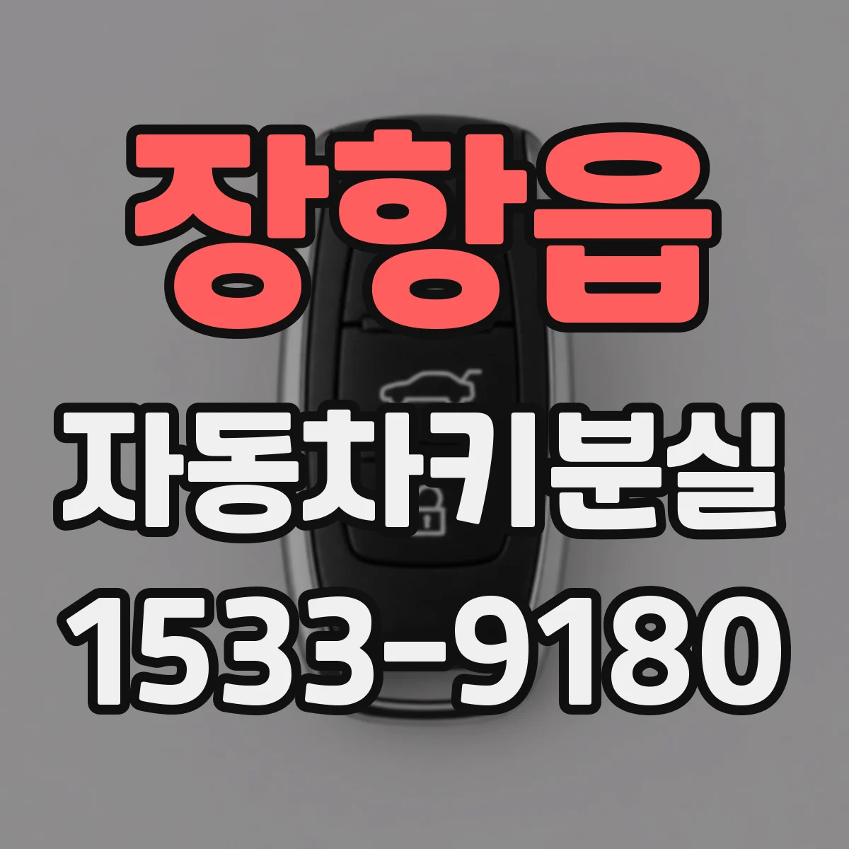 장항읍 자동차키분실