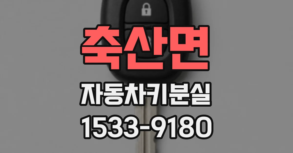축산면 자동차키분실