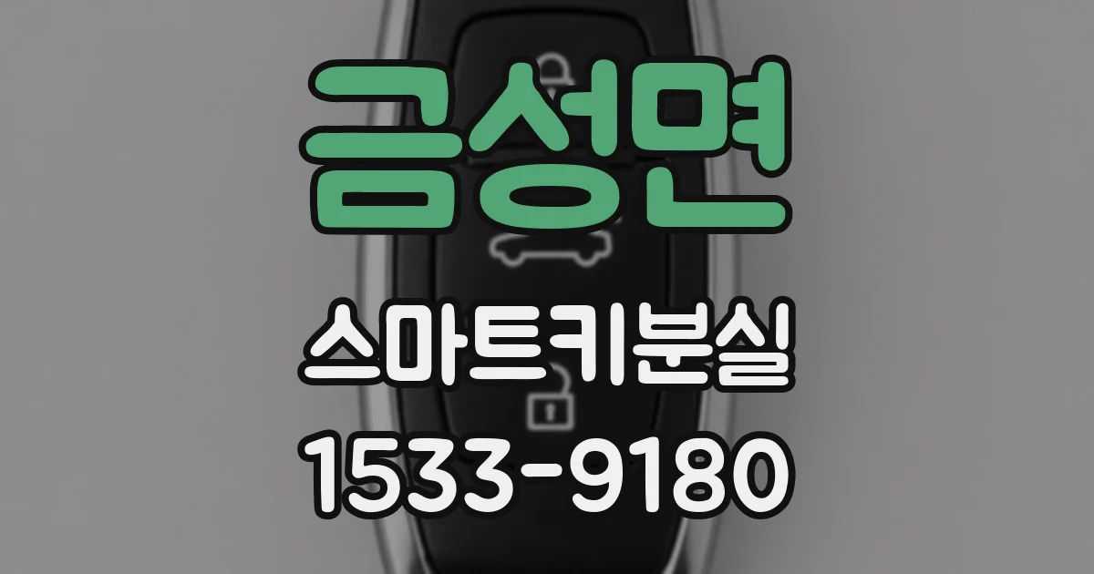 금성면 스마트키분실