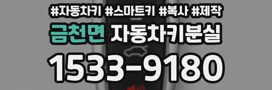 금천면 자동차키분실