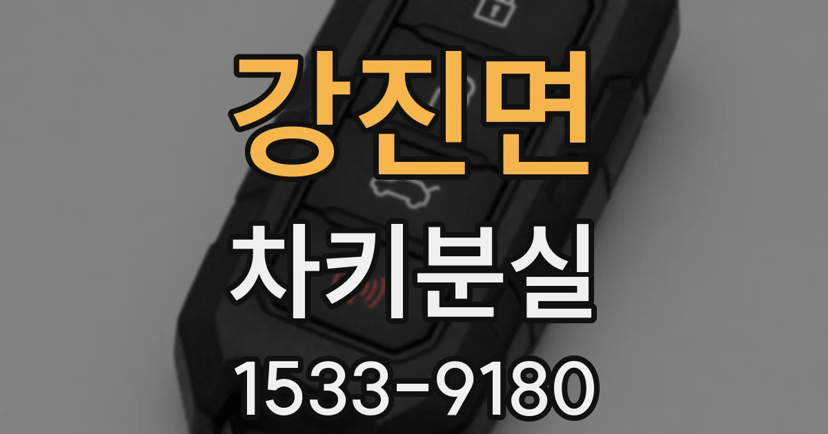강진면 차키분실
