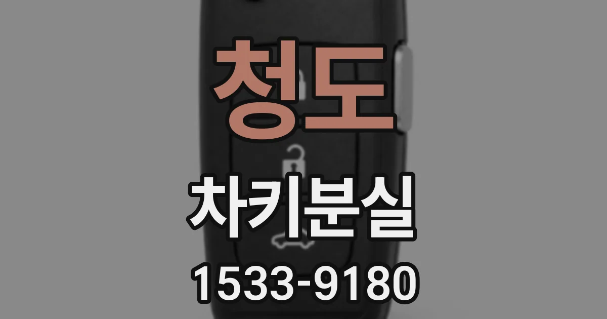청도 차키분실