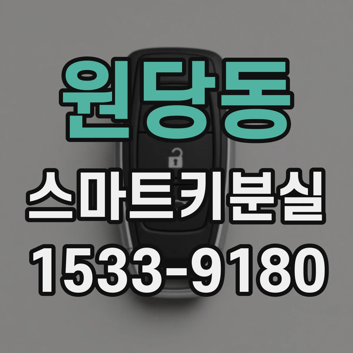 원당동 스마트키분실