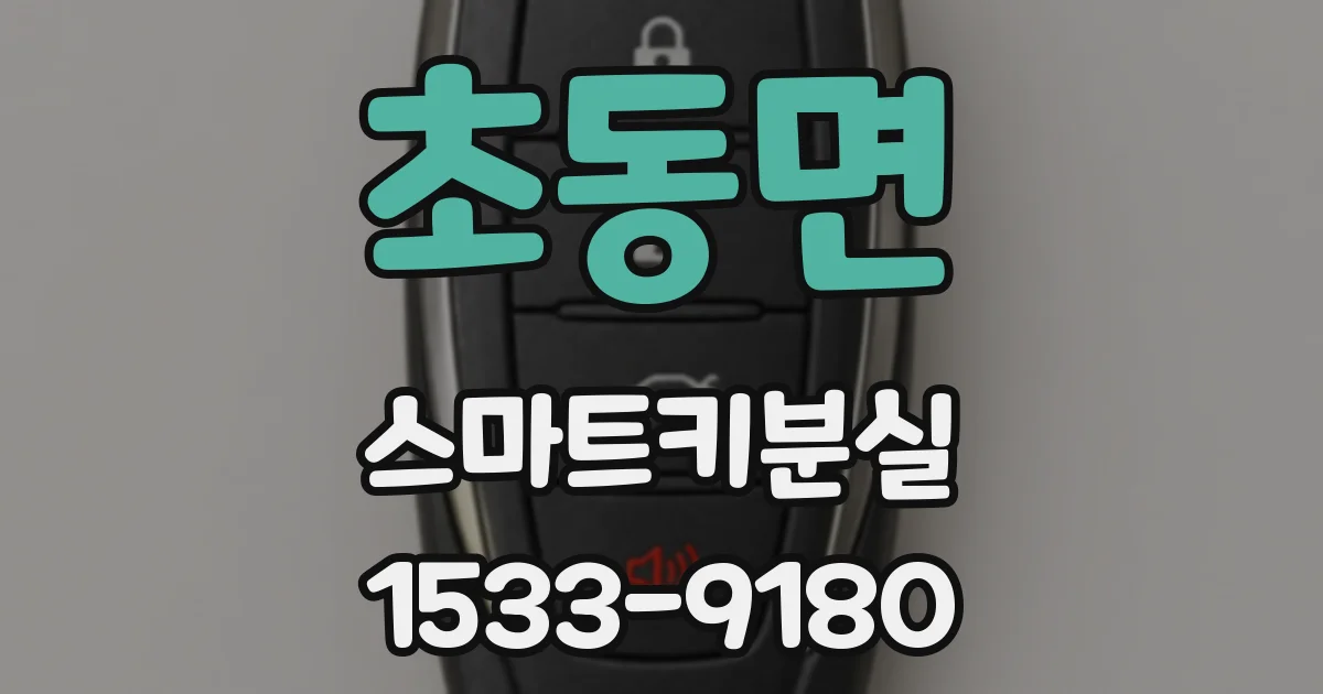 초동면 스마트키분실