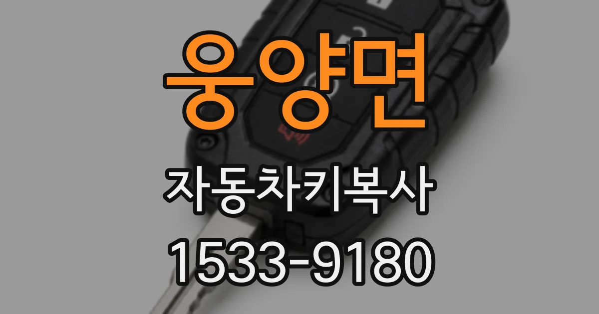 웅양면 자동차키복사