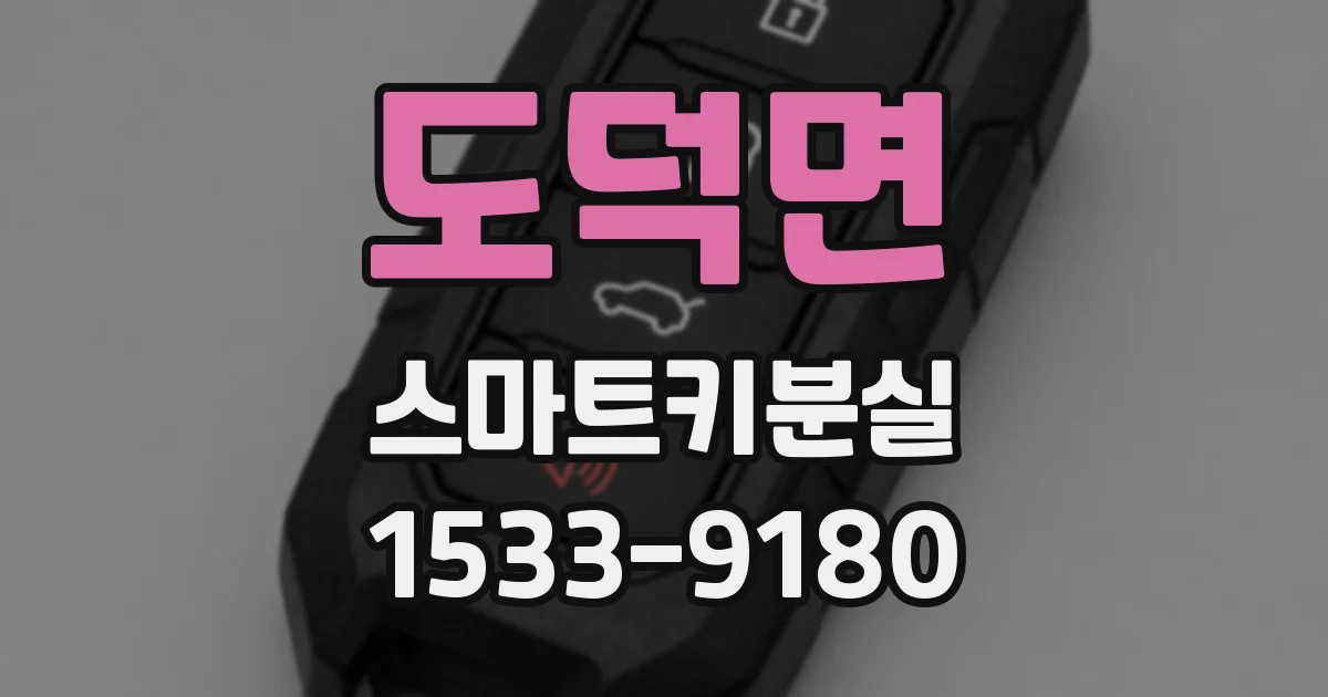 도덕면 스마트키분실