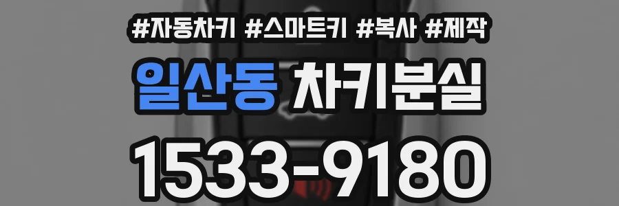 일산동 차키분실