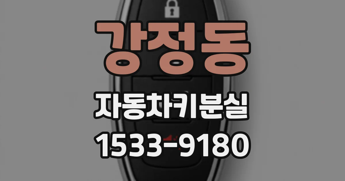 강정동 자동차키분실