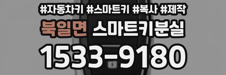 북일면 스마트키분실