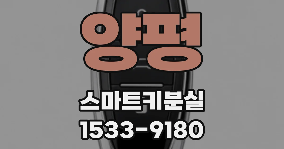 양평 스마트키분실