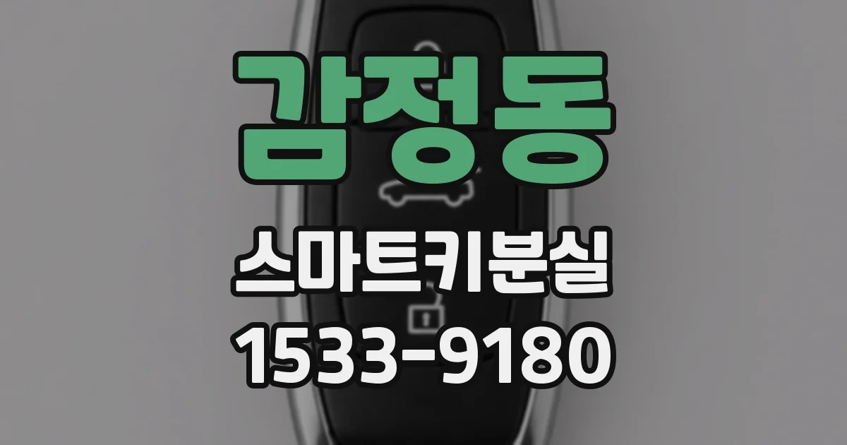 감정동 스마트키분실