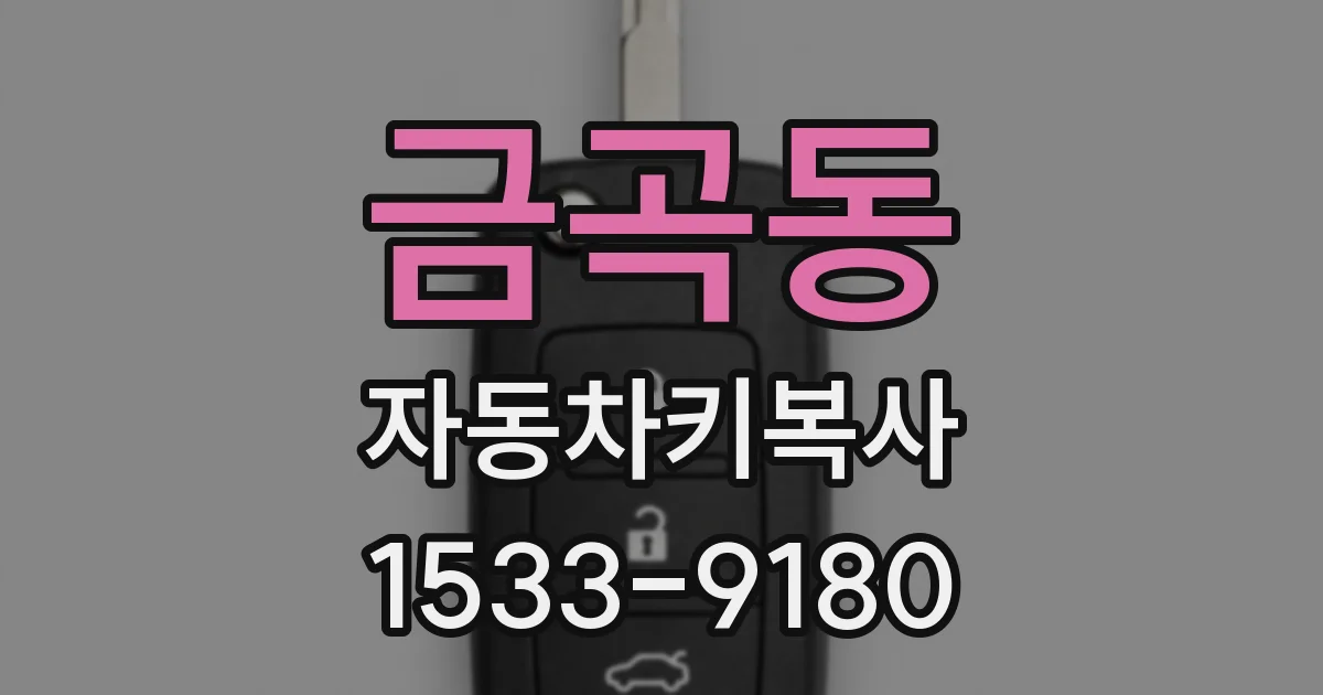 금곡동 자동차키복사