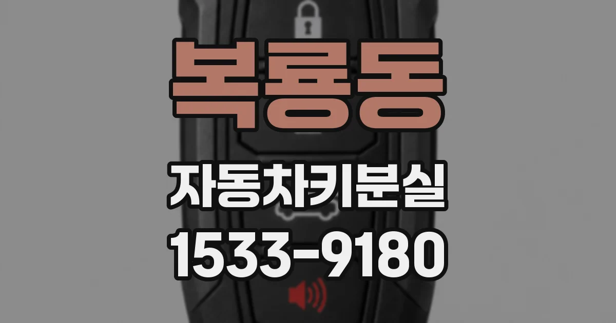 복룡동 자동차키분실