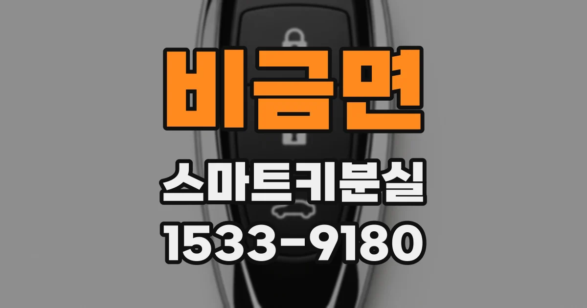 비금면 스마트키분실