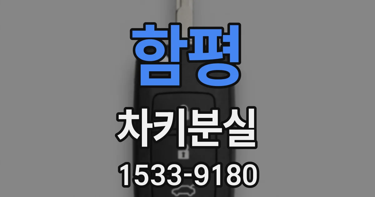 함평 차키분실