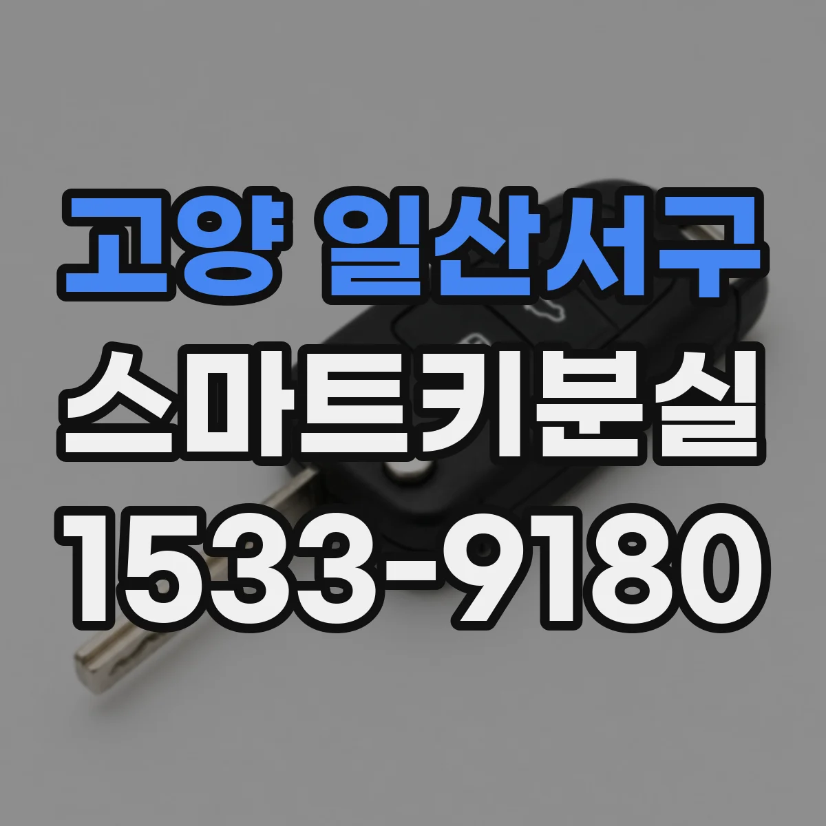 고양 일산서구 스마트키분실