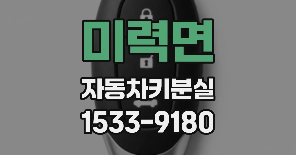 미력면 자동차키분실