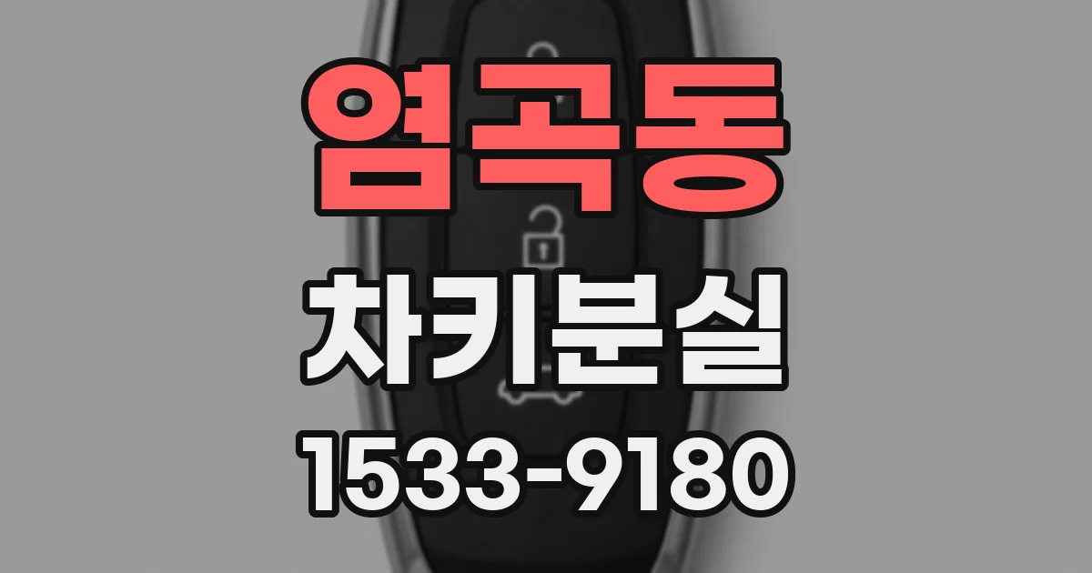 염곡동 차키분실