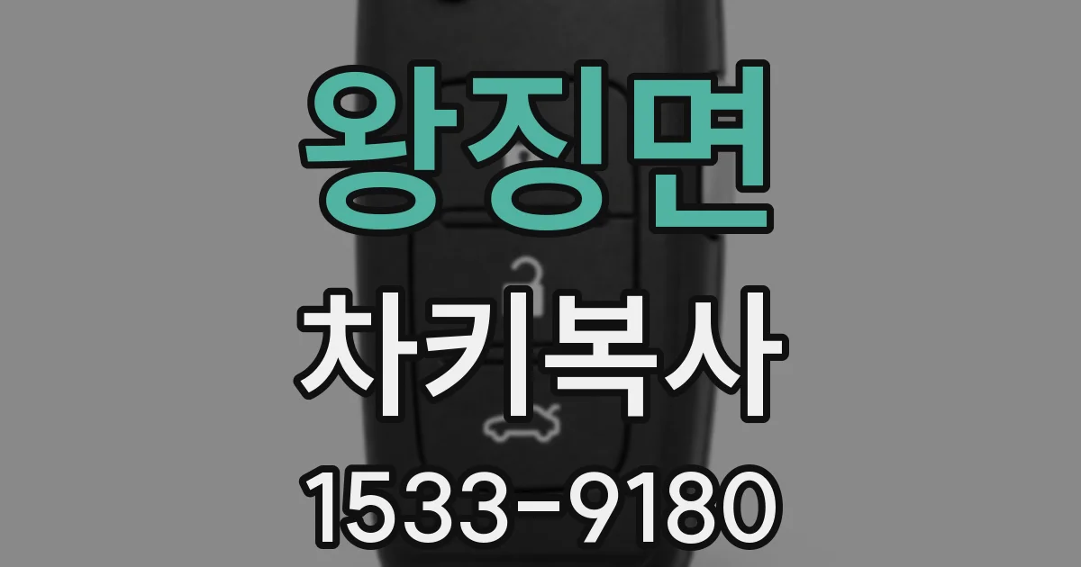 왕징면 차키복사